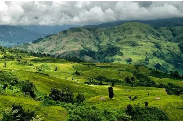 Ziro Valley